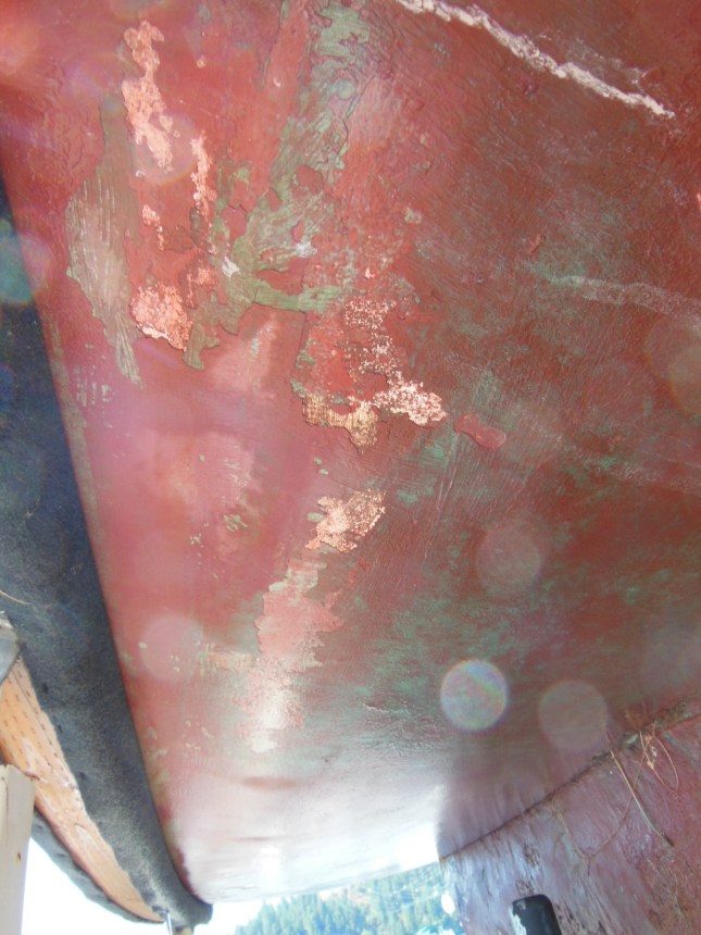 BEFORE - Just some of the damaged bottom paint